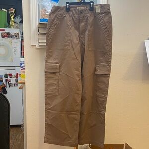 Abercrombie & Fitch Brown Cargo Pants
